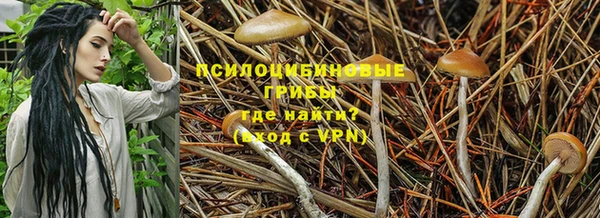 mdma Медногорск
