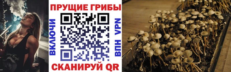 Псилоцибиновые грибы Magic Shrooms  Балашиха 